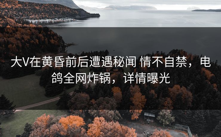 大V在黄昏前后遭遇秘闻 情不自禁，电鸽全网炸锅，详情曝光