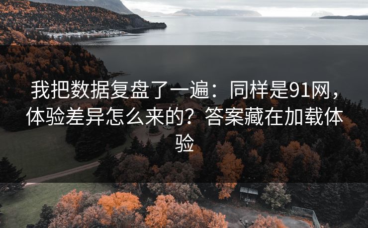 我把数据复盘了一遍：同样是91网，体验差异怎么来的？答案藏在加载体验